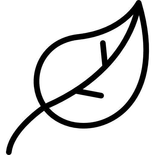 <p><strong>Clean Ingredients</strong></p>